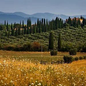Tenuta Di Poggio Cavallo , Istia dʼOmbrone Italië